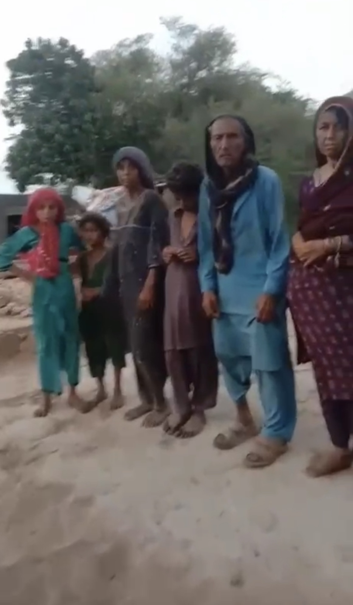 Shelter for Ali